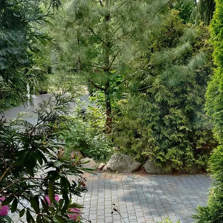 Daniel's Na Wylacznosc Mikołajki